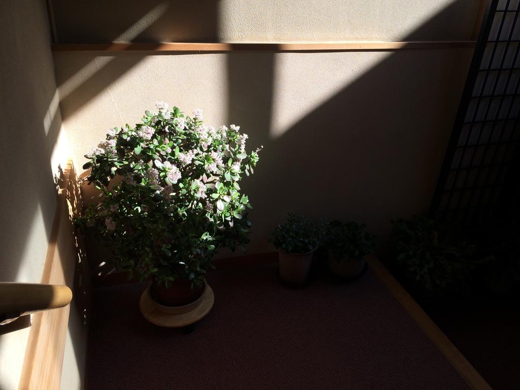 Yudanaka Onsen Yamazakiya Hotel Yamanouchi  Luaran gambar
