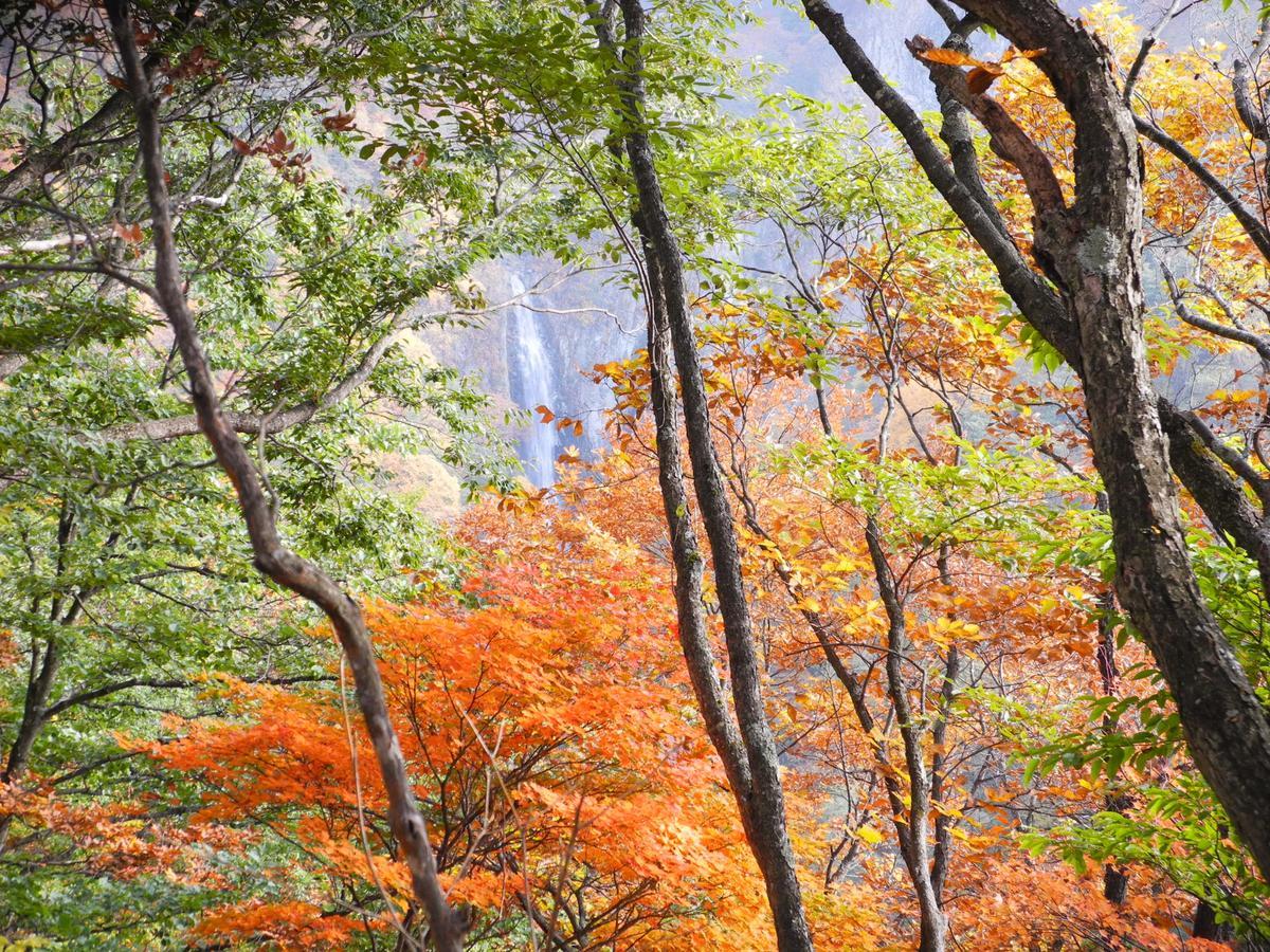 Yudanaka Onsen Yamazakiya Hotel Yamanouchi  Luaran gambar